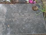 image of grave number 258907